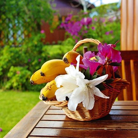 Holiday Homes Quinta Dos Curubas, Vila Franca Do Campo, Sao Miguel, Azores エクステリア 写真