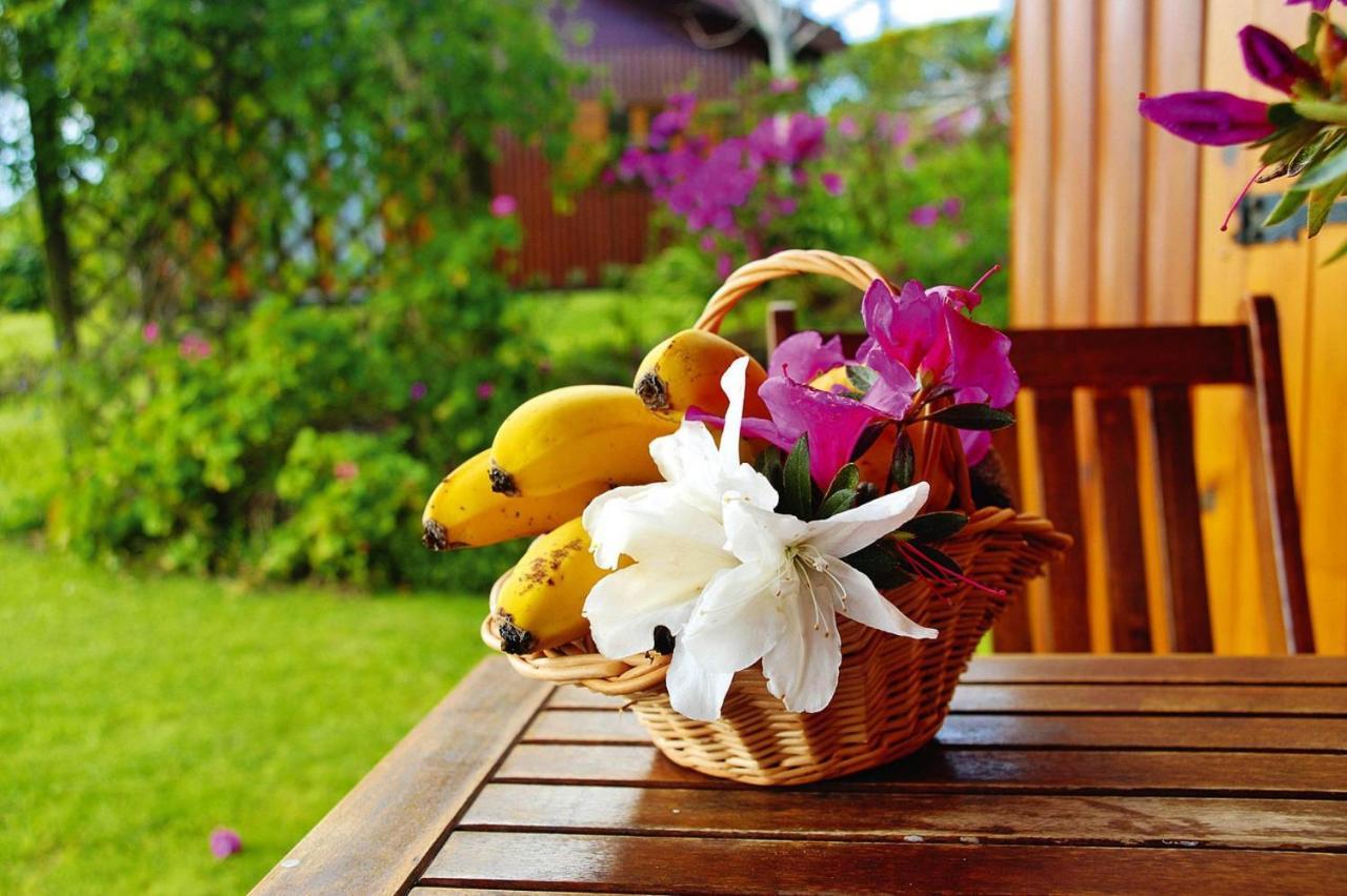 Holiday Homes Quinta Dos Curubas, Vila Franca Do Campo, Sao Miguel, Azores エクステリア 写真