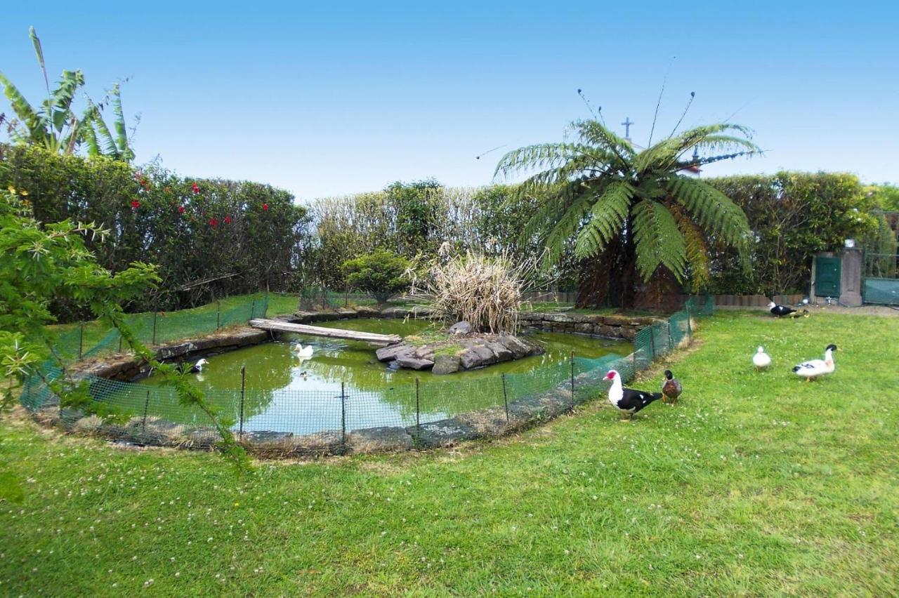 Holiday Homes Quinta Dos Curubas, Vila Franca Do Campo, Sao Miguel, Azores エクステリア 写真