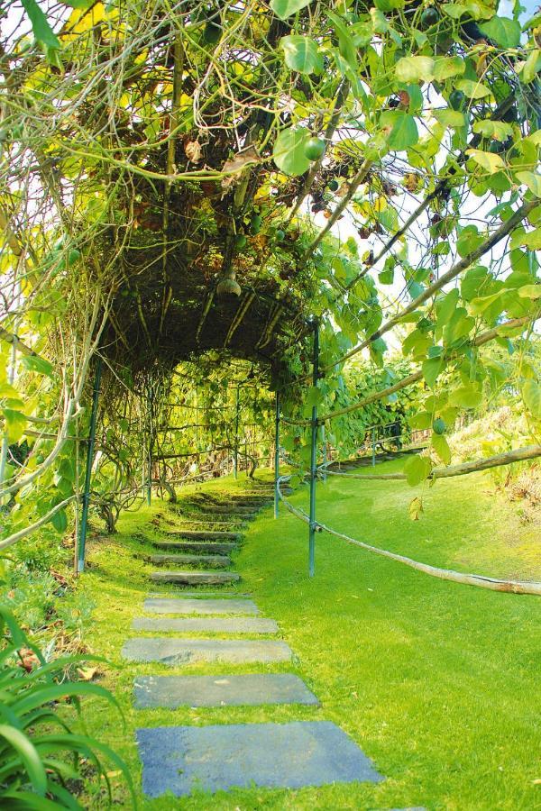 Holiday Homes Quinta Dos Curubas, Vila Franca Do Campo, Sao Miguel, Azores エクステリア 写真